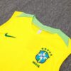 Conjunto de Entrenamiento Brasil Amarillo 2024-2025 puño
