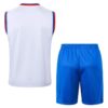 Alternative view of Conjunto de Entrenamiento FC Barcelona Blanco/Azul 2024-2025
