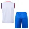Alternative view of Conjunto de Entrenamiento FC Barcelona Blanco/Azul 2024-2025