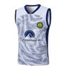 Conjunto de Entrenamiento Inter Milan Blanco-Azul 2024-2025 polo parte delantera