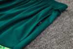Conjunto de Entrenamiento Palmeiras Verde 2024-2025 bolsillo