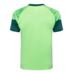 Conjunto de Entrenamiento Palmeiras Verde 2024-2025 dorsal