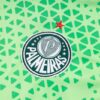 Conjunto de Entrenamiento Palmeiras Verde 2024-2025 logo