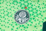 Conjunto de Entrenamiento Palmeiras Verde 2024-2025 logo