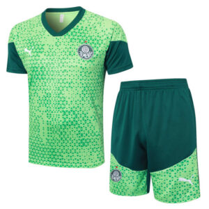 Conjunto de Entrenamiento Palmeiras Verde 2024-2025