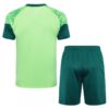 Alternative view of Conjunto de Entrenamiento Palmeiras Verde 2024-2025