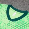 Conjunto de Entrenamiento Palmeiras Verde 2024-2025 pecho