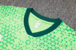 Conjunto de Entrenamiento Palmeiras Verde 2024-2025 pecho