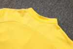 chandal-Borussia-Dortmund-amarillo-2024-2025-dorsal-trasero