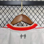 conjunto-niño-liverpool-tercera-equipacion-2024-2025-dorsal-trasero