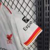 conjunto-niño-liverpool-tercera-equipacion-2024-2025-puño-izquierdo