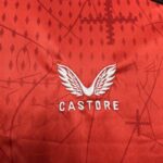 Camiseta Bayer Leverkusen Primera Equipacion 2024-2025 logo