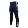 Chandal Real Madrid Verde Claro 2024-2025 pantalon parte delantera