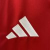 Camiseta Ajax primera equipacion 2024-2025 logo