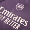 Chandal de Entrenamiento Arsenal Purpura 2024-2025 frontal