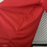 camiseta-fiorentina-tercera-equipacion-retro-1995-1996-axila