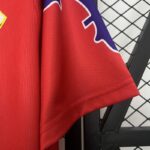 camiseta-fiorentina-tercera-equipacion-retro-1995-1996-puño-izquierdo