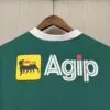 camiseta-palmeiras-primera-equipacion-1987-dorsal-trasero
