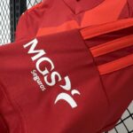 conjunto-niño-real-zaragoza-segunda-equipacion-2024-2025-puño-izquierdo