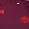 Chandal Bayern Munich Rojo vino 2924-2025 pecho