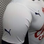 camiseta-chivas-segunda-equipacion-version-jugador-2024-2025-puño-derecho
