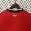 camiseta-lille-primera-equipacion-2024-2025-dorsal-trasero