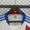 camiseta-lyon-primera-equipacion-retro-2010-2011-dorsal