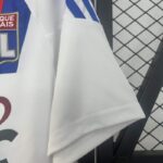 camiseta-lyon-primera-equipacion-retro-2010-2011-puño-izquierdo