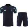 conjunto-de-entrenamiento-ajax-2024-2025