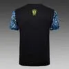 conjunto-de-entrenamiento-brasil-gris-azulada-manga-corta-2024-2025-camiseta-parte-trasera