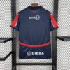 camiseta-cerro-porteno-primera-equipacion-2025-2026-parte-trasera