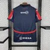 camiseta-cerro-porteno-primera-equipacion-2025-2026-parte-trasera