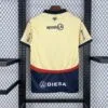 camiseta-cerro-porteno-segunda-equipacion-2025-2026-parte-trasera