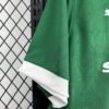 camiseta-palmeiras-primera-equipacion-2025-2026-puño-derecho