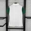 camiseta-palmeiras-segunda-equipacion-2025-2026-parte-trasera