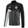 chaqueta-borussia-dortmund-2024-2025