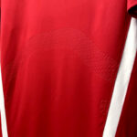 camiseta-retro-chile-primera-equipacion-2014-parte-inferior