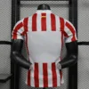 Atletico de madrid primera equipacion version jugador 2025-2026 dorsal