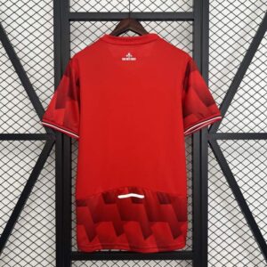 Camiseta Lille Primera Equipaciòn 2025-2026-dorsal