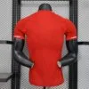 Camiseta Liverpool Edición Especial Versión Jugador 2025-2026-dorsal.