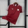 Camiseta-bayern-de-munich-terrace-icons-2025-2026