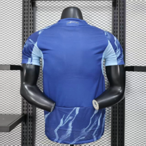 camiseta-ajax-segunda-equipacion-2025-2026-parte-trasera