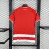 Camiseta FC Union Berlin Primera Equipación 2025-2026-dorsal