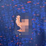 camiseta-francia-primera-equipacion-2025-2026-escudo