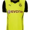 camiseta-borussia-dortmund-primera-equipacion-campeones-2013-2014-2