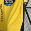camiseta-real-valladolid-tercera-equipacion-2025-2026-parte-inferior