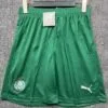 Pantalón Corto Tottenham Hotspur Segunda Equipacion 2025-2025