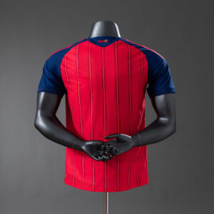 camiseta-españa-primera-equipacion-version-jugador-2025-2026-parte-trasera