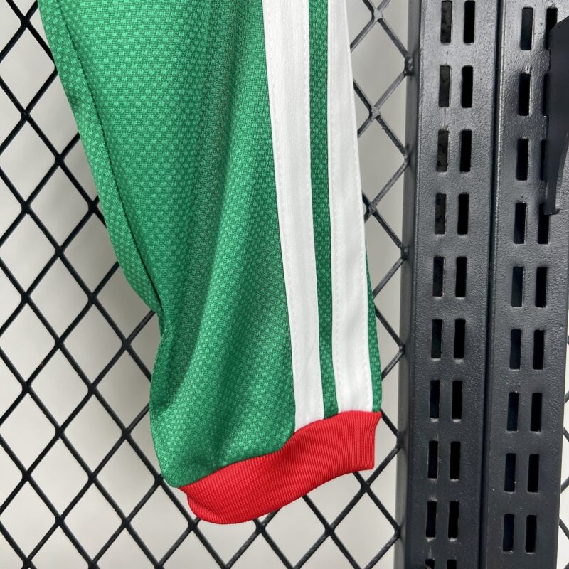 camiseta-mexico-primera-equipacion-manga-larga-mundial-2026-puño