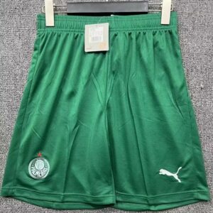 pantalon-corto-palmeiras-segunda-equipacion-2025-2026